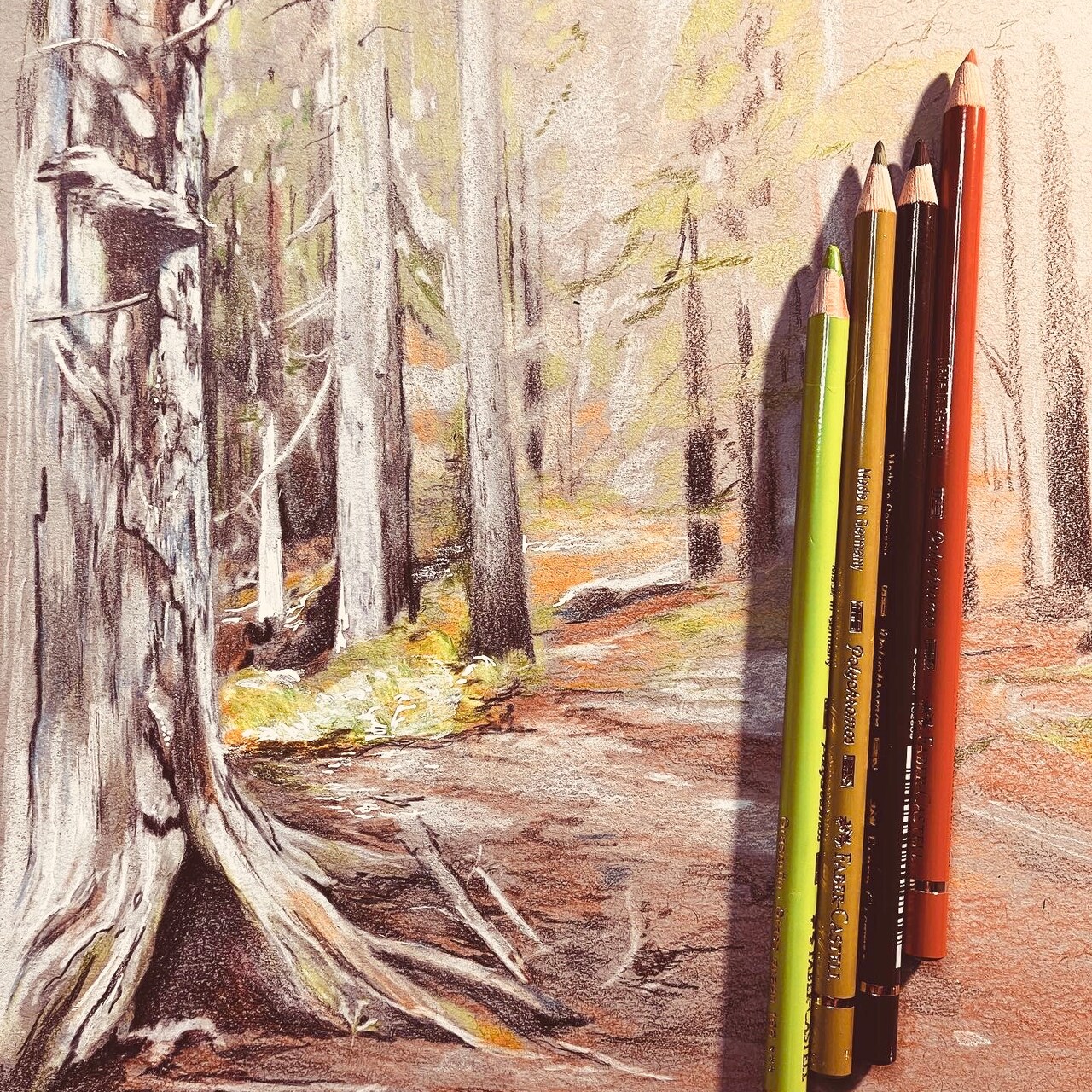 Mountain Forest Floor Study in Faber Castell Polychromos Colour Pencils, Part II